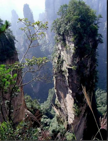 長沙出發(fā)到張家界溶洞奇觀黃龍洞、國家森林公園、袁家界、峰林之王天子山三日游（早班）