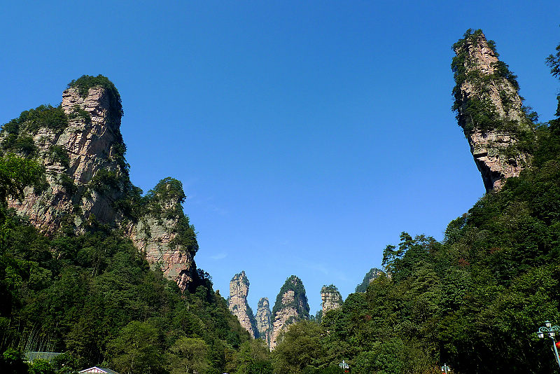 張家界國家森林公園、黃龍洞、天門山、鳳凰古城純玩五日游
